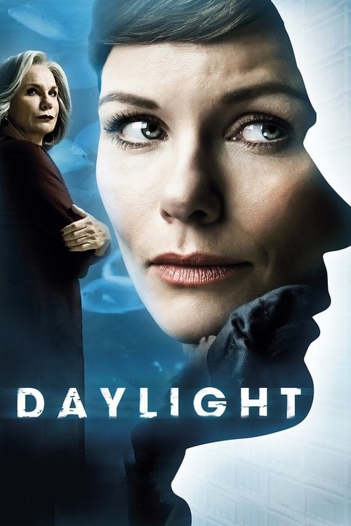 Watch Daglicht 2013 online
