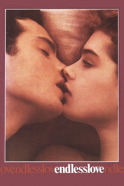 Watch Endless Love 1981 online