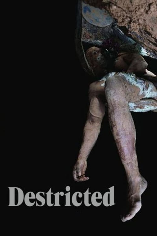 Watch Destricted 2006 online