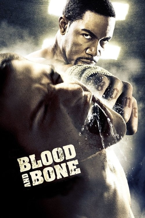 Watch Blood and Bone 2009 online