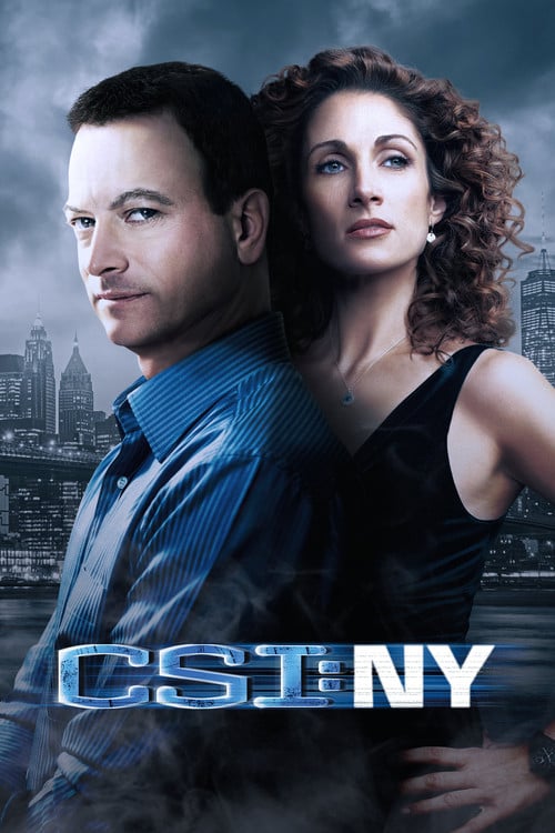 Watch CSI: NY 2004 online