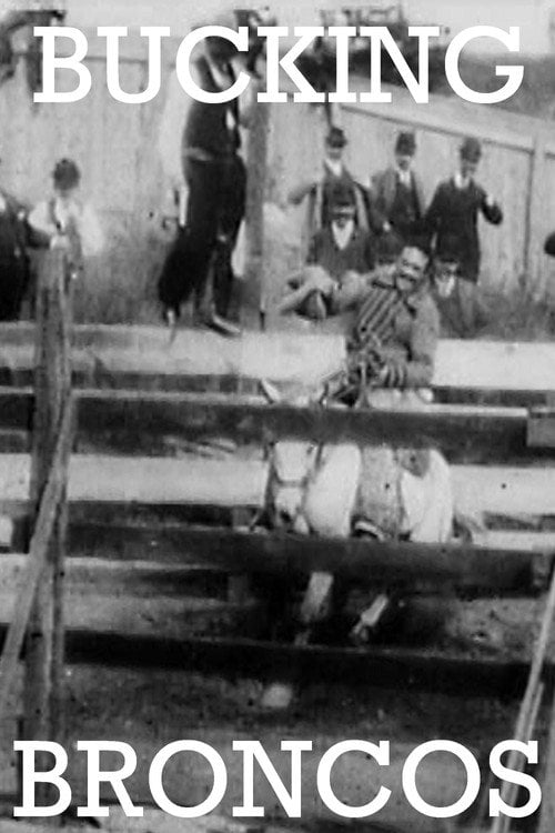 Watch Bucking Broncos 1904 online