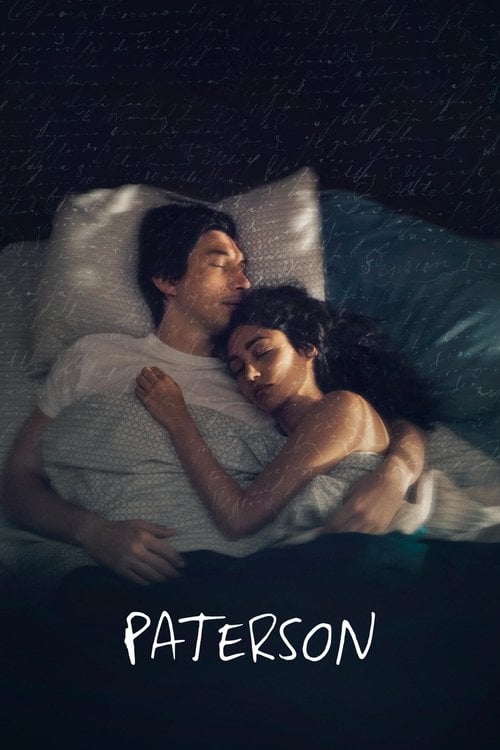 Watch Paterson 2016 online