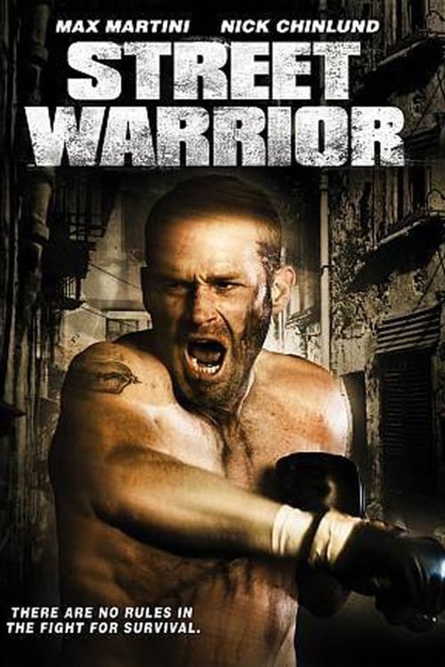 Дивитися фільм Вуличний воїн 2008 онлайн