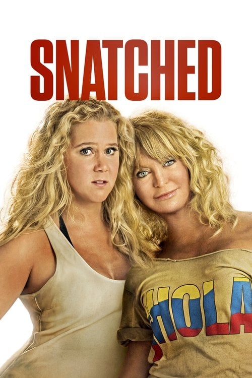 Watch Snatched 2017 online