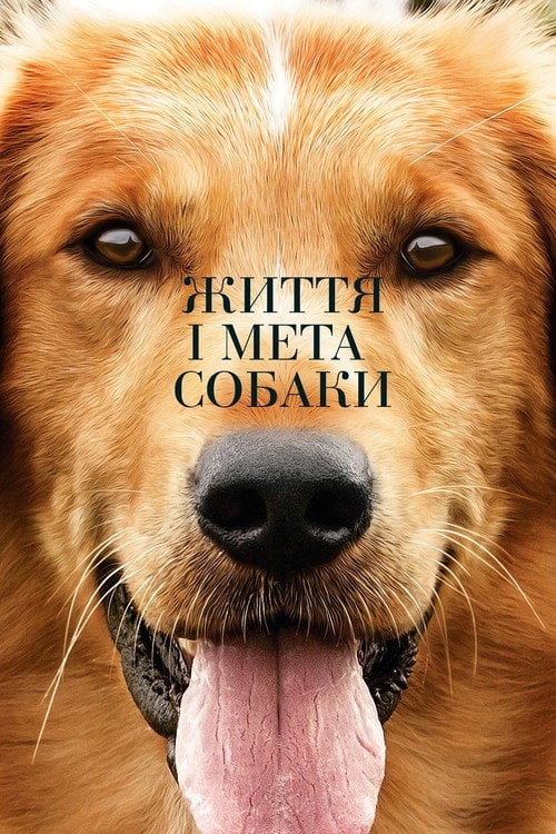 Дивитися фільм Життя і мета собаки 2017 онлайн