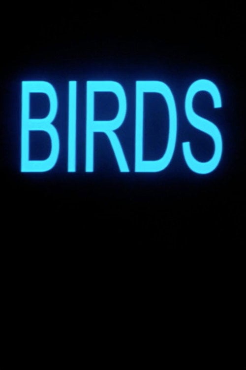 Дивитися фільм Birds 2001 онлайн