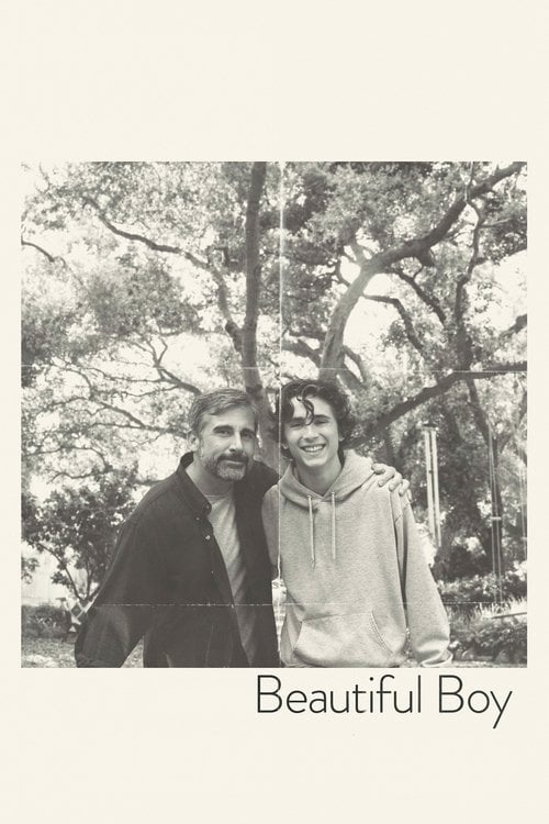 Watch Beautiful Boy 2018 online