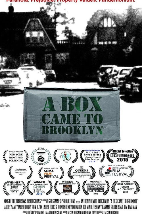 Дивитися фільм A Box Came to Brooklyn 2015 онлайн