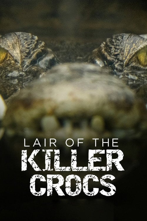 Watch Lair Of The Killer Crocs 2015 online