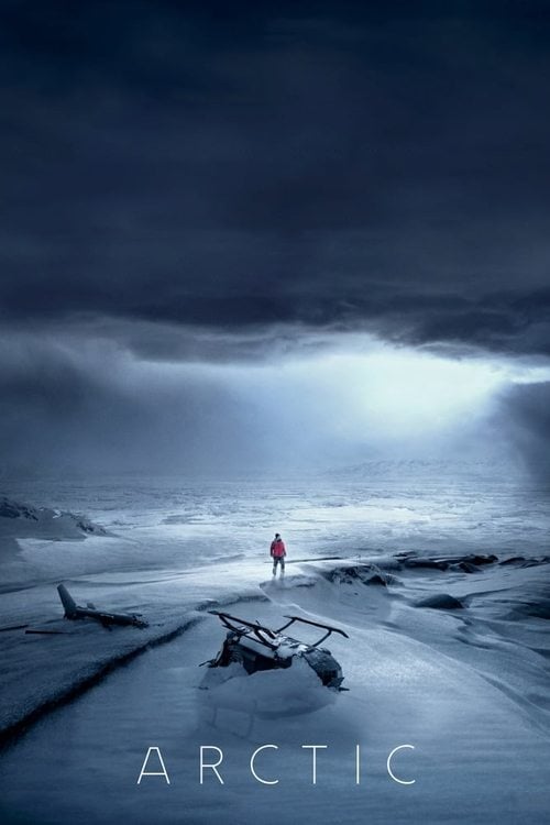 Watch Arctic 2018 online