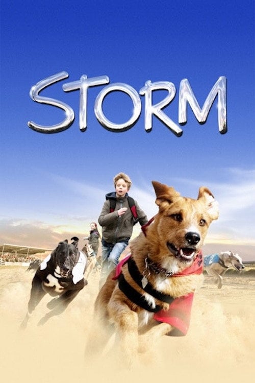 Дивитися фільм Storm 2009 онлайн