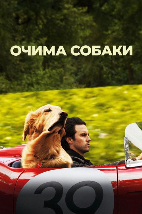 Дивитися фільм Очима собаки 2019 онлайн