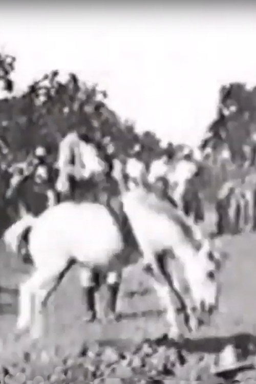 Дивитися фільм Cavalier sur un cheval rétif 1896 онлайн
