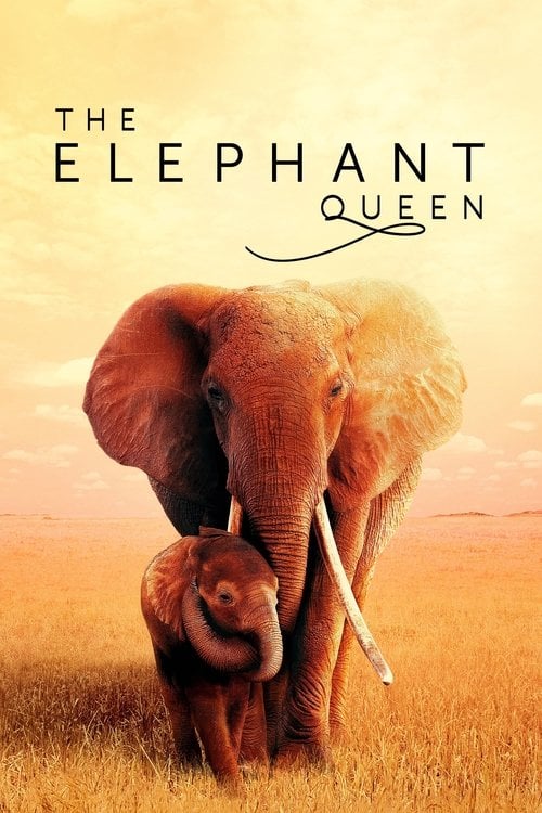 Watch The Elephant Queen 2019 online