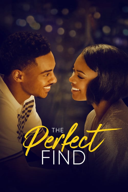 Watch The Perfect Find 2023 online