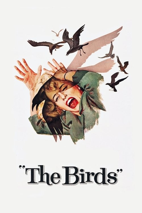 Watch The Birds 1963 online
