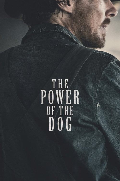 Watch The Power of the Dog 2021 online