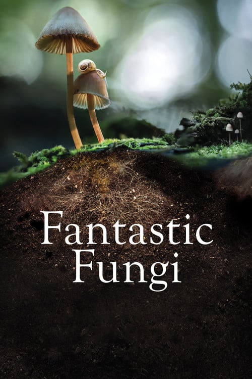 Watch Fantastic Fungi 2019 online