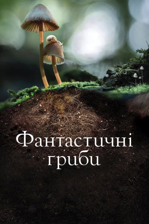 Дивитися фільм Фантастичні гриби 2019 онлайн