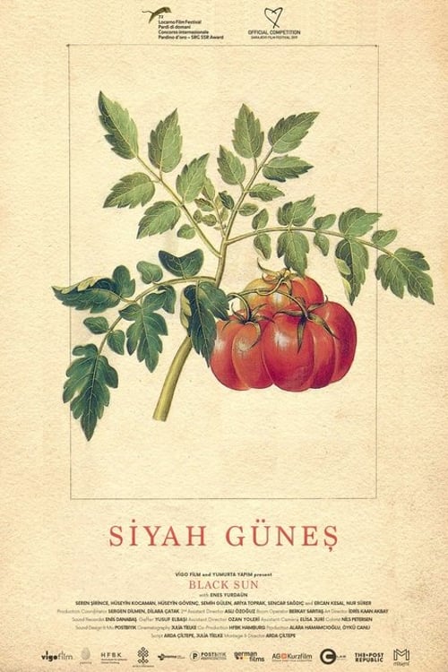 Watch Siyah Güneş 2019 online
