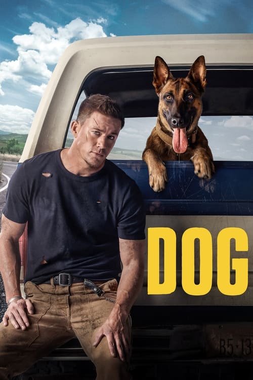 Watch Dog 2022 online