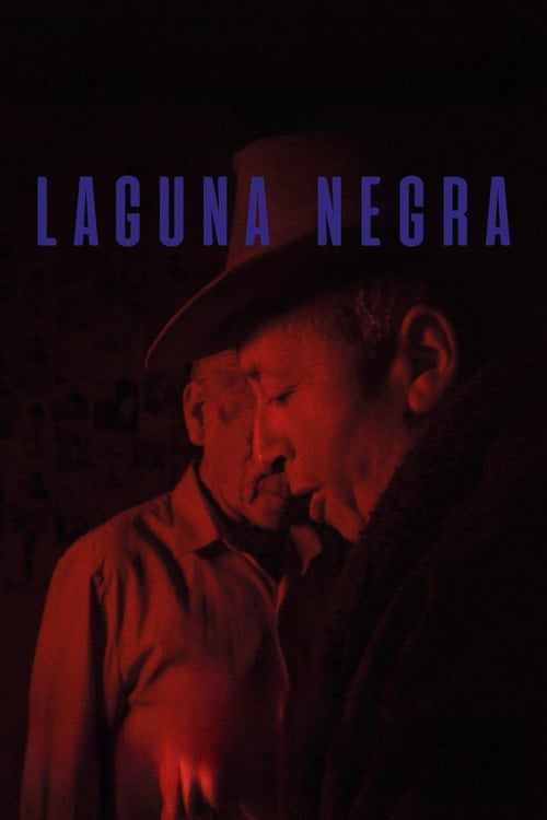 Watch Laguna negra 2020 online