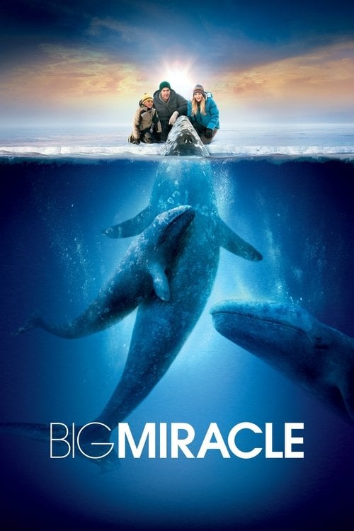 Watch Big Miracle 2012 online