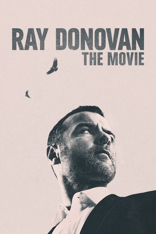 Watch Ray Donovan: The Movie 2022 online