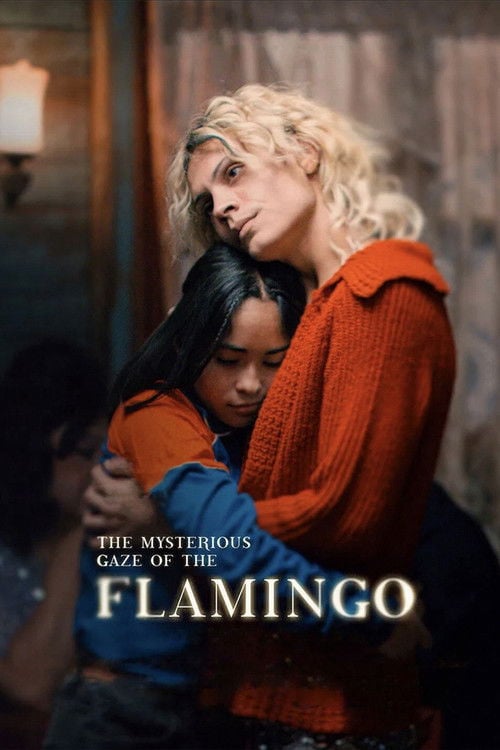 Watch La misteriosa mirada del flamenco 2025 online