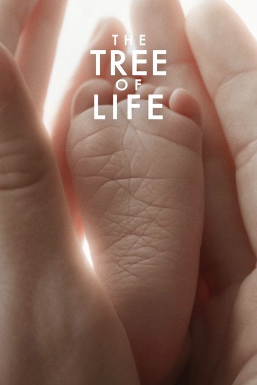 Watch The Tree of Life 2011 online
