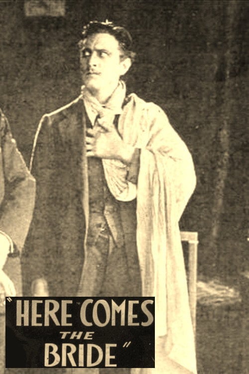 Watch Here Comes the Bride 1919 online
