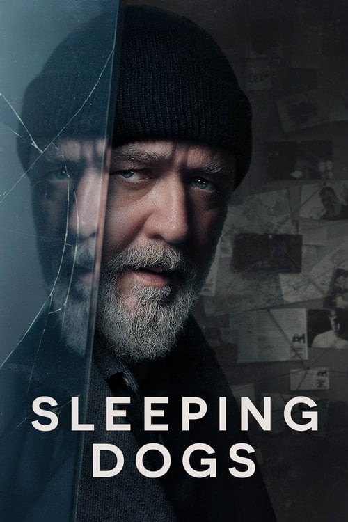 Watch Sleeping Dogs 2024 online