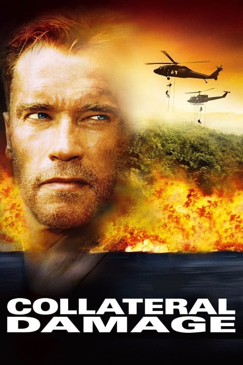 Watch Collateral Damage 2002 online