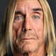 Iggy Pop