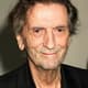 Harry Dean Stanton